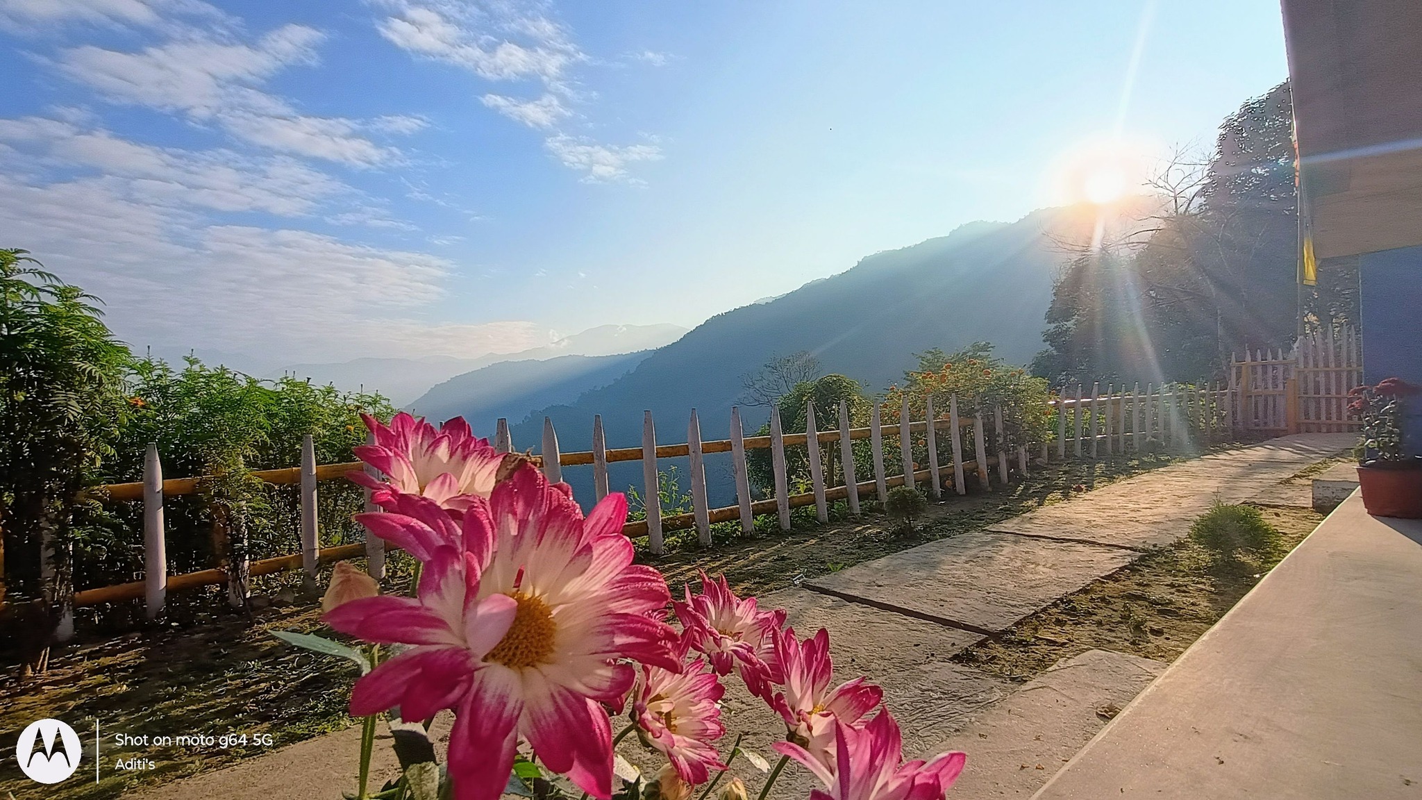 Flowers and garden
